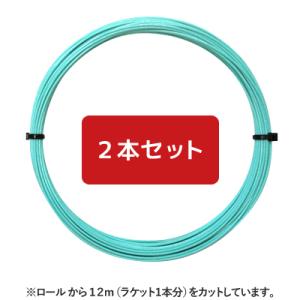 【12mカット品】ヨネックス ポリツアーレブ ミント｜1.25mm x２本セット