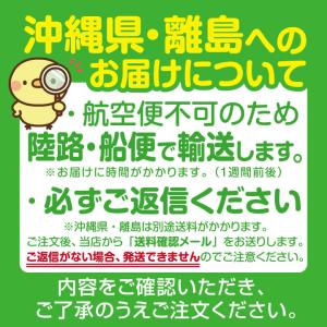 イトキン グリドル TYS750★代引・送料無...の詳細画像5