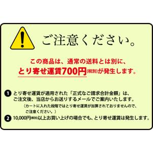 抗菌 ハイテク丸スパテラ (ハードタイプ) 1...の詳細画像1