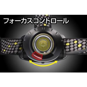 [在庫あり] 2025年新製品 GENTOS ...の詳細画像1