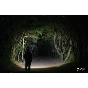 [在庫あり] 2025年新製品 GENTOS ...の詳細画像2