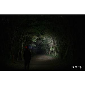 [在庫あり] 2025年新製品 GENTOS ...の詳細画像3