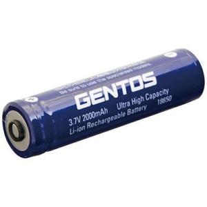 GENTOS 専用充電池 SG-39SB 閃 SG-339R SG-409R FLP-1809専用充...