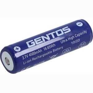GENTOS 専用充電池 TX-30SB  TX-3000R用充電池｜chubu-plot
