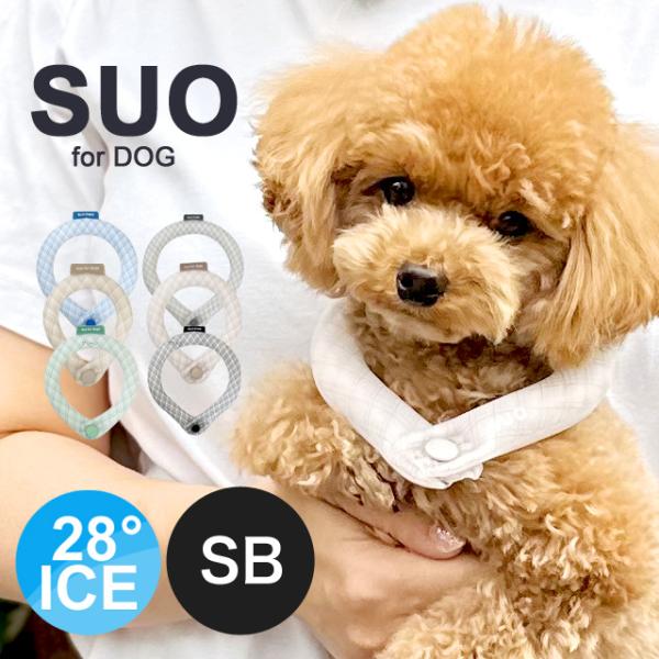 【在庫限り】SUO ボタン付き スオリングフォードッグ  28°ICE グラデチェック SB 犬 ペ...