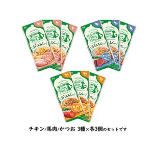 yum yum！(ヤムヤムヤム) ハイシニア 13+ チキン ウェットタイプ 80g