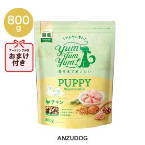 yum yum！(ヤムヤムヤム) ハイシニア 13+ チキン ウェットタイプ 80g
