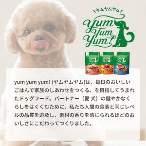 yum yum yum!(ヤムヤムヤム) ハイ...の詳細画像4