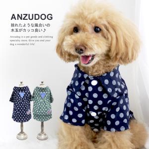 ワッペン ドットシャツ ドッグウエア 小型犬  犬服 ペット 春夏 ANZUDOG（あんずドッグ）