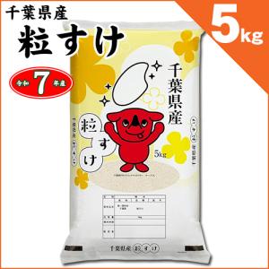 コシヒカリ 千葉県いすみ市産 いすみ米 白米10kg 令和7年産 : お酒とお