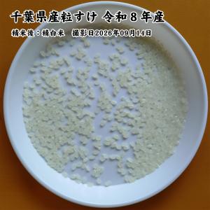 千葉県産 粒すけ 白米5kg 令和8年産 新米...の詳細画像3