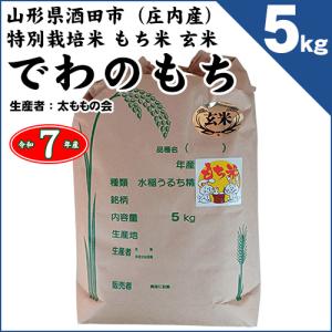 コシヒカリ 富山県南砺市 サカタニ農産 特別栽培米・自然乾燥
