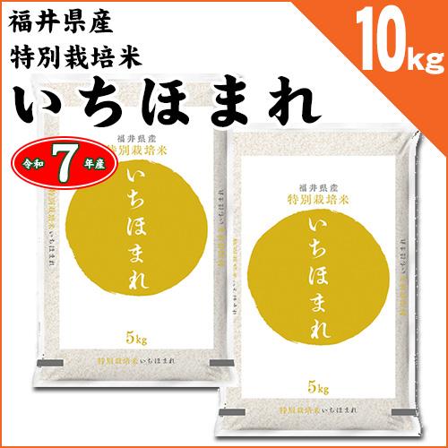 福井県 特別栽培米 いちほまれ 白米10kg (5kg×2袋) 令和7年産