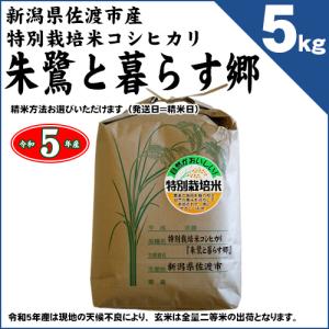新潟県佐渡産 特別栽培米 コシヒカリ 「朱鷺と暮らす郷」 玄米5kg（精米方法お選びいただけます） 令和5年産｜chumeian