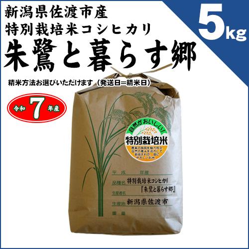 新潟県佐渡産 特別栽培米 コシヒカリ 「朱鷺と暮らす郷」 玄米5kg（精米方法お選びいただけます） ...