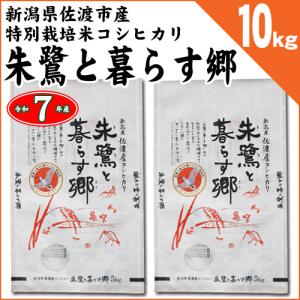 コシヒカリ 千葉県いすみ市産 いすみ米 白米10kg 令和7年産 : お酒とお