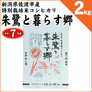 コシヒカリ 千葉県いすみ市産 いすみ米 白米10kg 令和7年産 : お酒とお