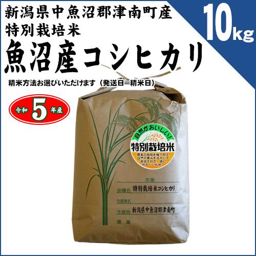 新潟県津南町産 特別栽培米 魚沼産コシヒカリ 玄米10kg（精米方法お選びいただけます） 令和5年産