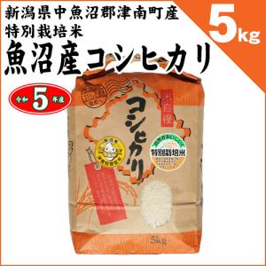 新潟県津南町産 特別栽培米 魚沼産コシヒカリ 白米5kg 令和5年産｜chumeian