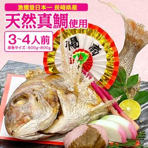 祝い鯛  焼き鯛 お食い初め 長崎 天然真鯛 中サイズ