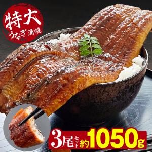 うなぎ 鰻 中国産 特大 約350g × 3尾 ひつまぶし おにぎり 鰻重 うな丼鰻蒲焼 蒲焼き 真空パック ギフト お取り寄せ 冷凍 プレゼント