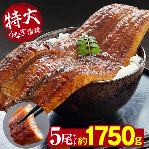 うなぎ 鰻 中国産 特大 約350g × 5尾 ひつまぶし おにぎり 鰻重 うな丼鰻蒲焼 蒲焼き 真空パック ギフト お取り寄せ 冷凍 内祝い プレゼント