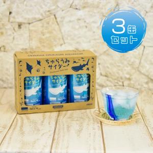 ふるさと納税 本部町 沖縄美ら海水族館オリジナル「ちゅらうみサイダー