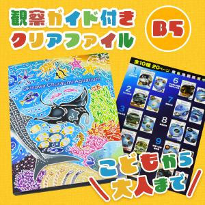 書籍 ガイドクリアファイル 学べる 海洋生物 海  沖縄美ら海水族館