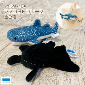 リアルぬいぐるみマスコットシリーズ ブラックマンタ ジンベエザメ かわいい ミニサイズ 全長15cm プレゼント キッズ 子ども 海の生き物 お土産 ギフト