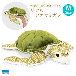 リアルアオウミガメ L : 沖縄美ら海水族館 公式ショップ - 通販