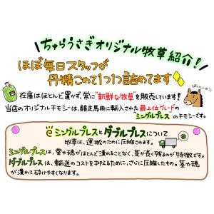 【2番刈り】最高級チモシーヘイ(1kg) 牧草...の詳細画像1
