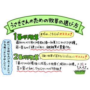 【2番刈り】最高級チモシーヘイ(1kg) 牧草...の詳細画像2