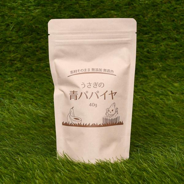 うさぎの青パパイヤ 40g タンパク質分解酵素「パパイン」が毛玉予防に効果的！