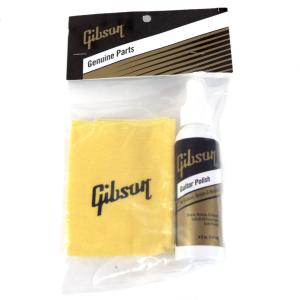 Gibson AIGG-950 Pump Polish And Standard Polish Cloth Combo ポ