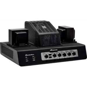 Ampeg Micro-VR ＆ SVT-210AV スタックアンプ セット : chuya-online