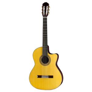 Drexel Starfield SD14 Acoustic Guitar アコースティックギター