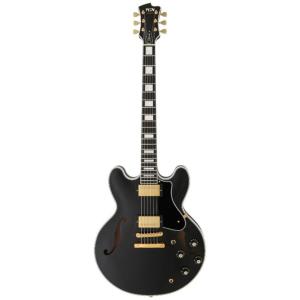 FUJIGEN MSA-HP-C BK Masterfield セミアコギター - 最安値・価格比較