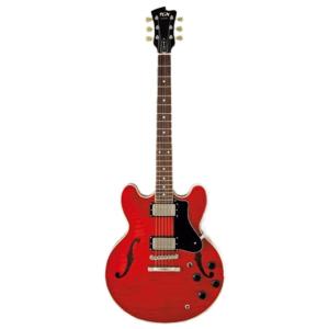 Fujigen Masterfield エレキギター セミアコ 楽天市場】FGN / FUJIGEN Masterfield MSA-HP (CH/Cherry