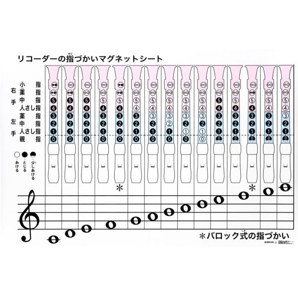 全音 ZRM-5A リコーダーの指づかい 全音階 指導用マグネットシート 黒板表示用教材