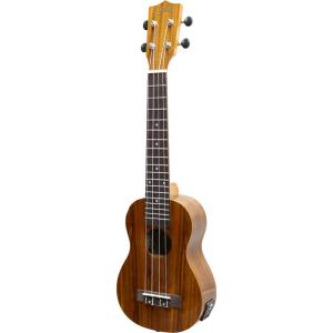Ibanez（アイバニーズ） Ibanez EWP14WB-OPN (Open Pore Natural