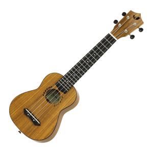 アウトレット 調整済 アリア ATU-120/6 MH 6弦テナーウクレレ G-Uke