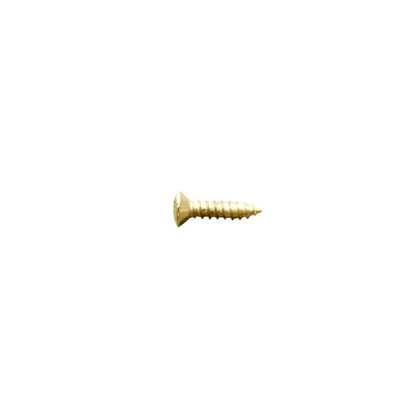 SCUD W-PFG 12P インチ ゴールド ピックガード用 ネジ