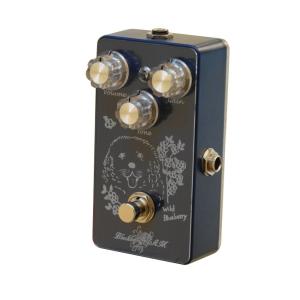Guyatone Flip Series TD-X Tube Echo : ロッキン - 通販 - Yahoo