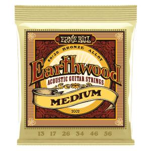 アーニーボール ERNIE BALL 2002 Earthwood Medium 80/20 Bronze 13-56 Gauge アコースティックギター弦