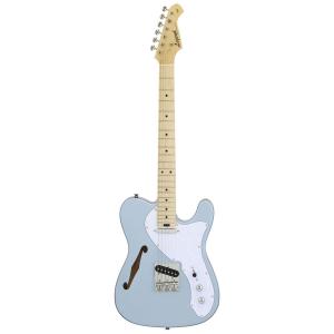 LEGEND LTE-69TL MIB エレキギターの買取情報