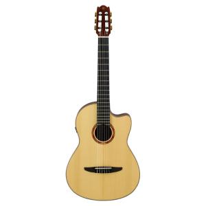 Suzuki F-100 Acoustic Guitar アコースティックギター スズキ