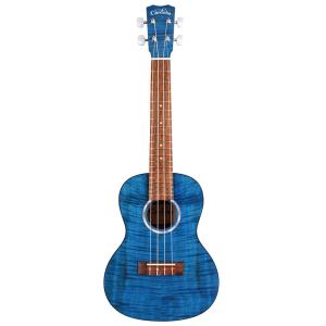 Cordoba 20CM コンサートウクレレ 《ウクレレ》 : ギタープラネット