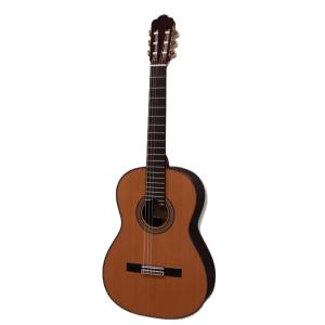 アストリアス 7弦 クラシックギター 7-STRING ASTURIAS : chuya-online