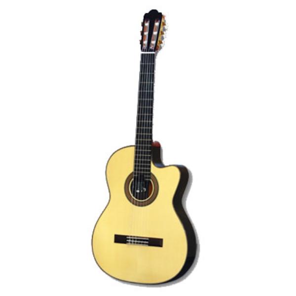 アストリアス エレガットギター Tsuji S-CW-S ASTURIAS
