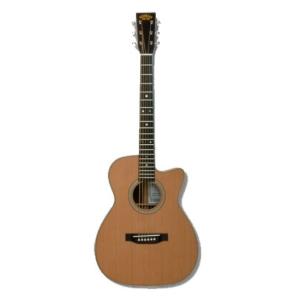 HONEY BEE W-15/N Acoustic Guitar ハニービー アコースティックギター